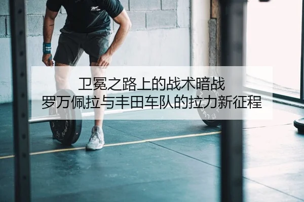 卫冕之路上的战术暗战 罗万佩拉与丰田车队的拉力新征程